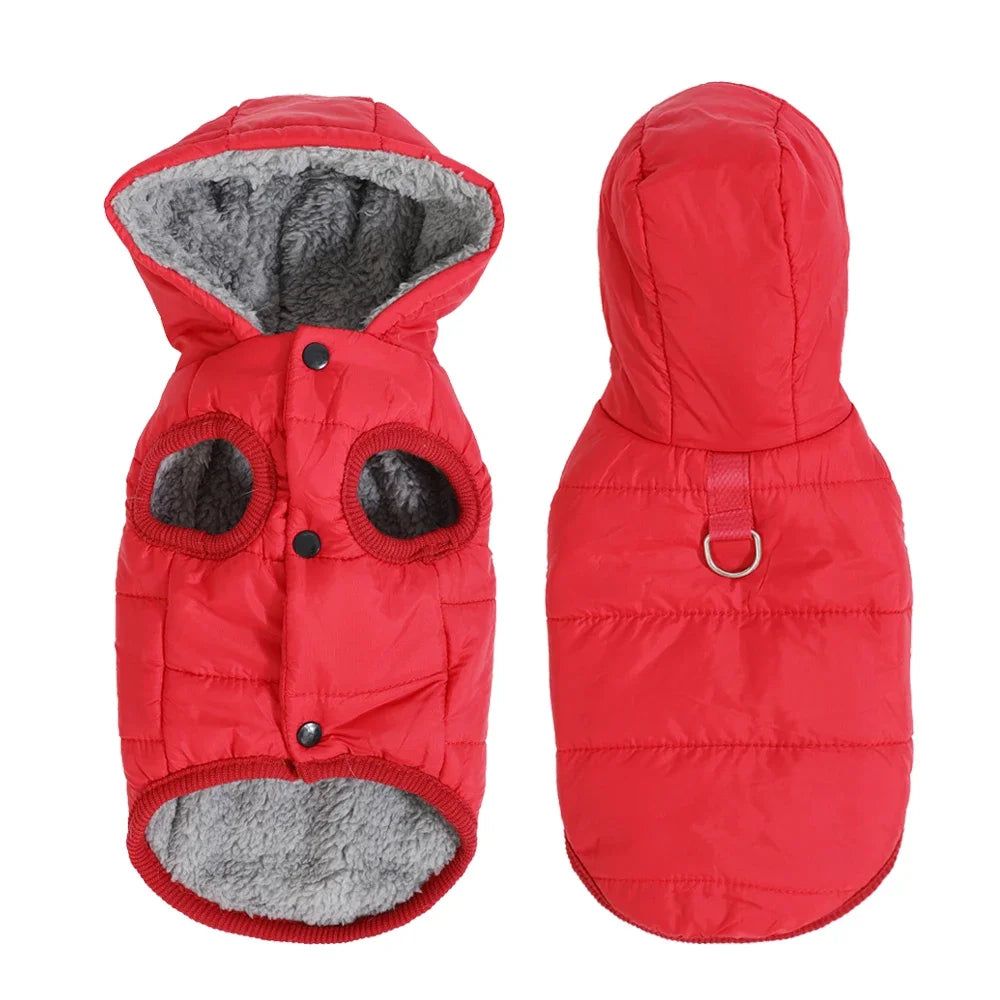 Parka con Capucha para Perros y Gatos Pequeños — Impermeable y Cálida