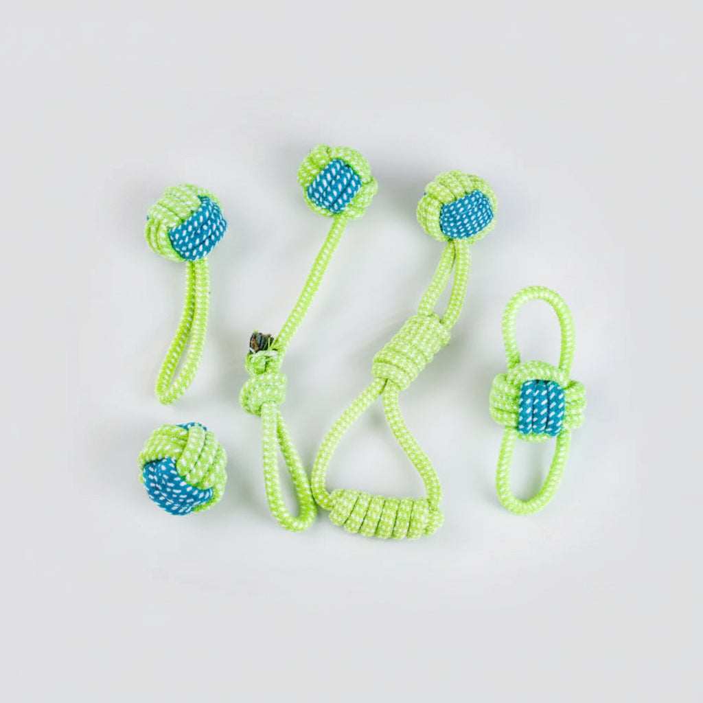 Juguete de Cuerda con Pelota para Perros – Molar y Entrenamiento