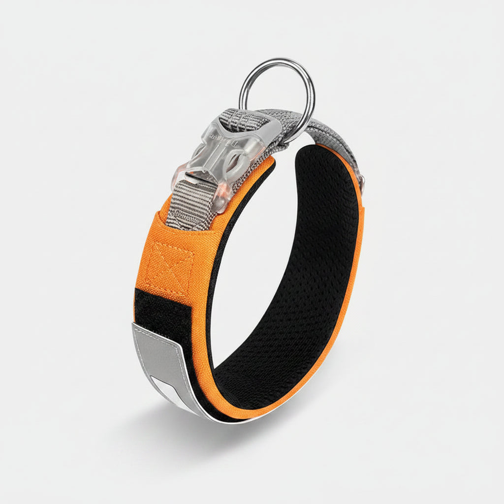 Collar para Perros Reflectante Multifuncional Personalizable
