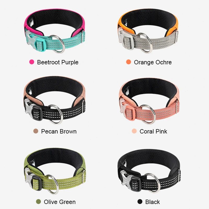 Collar para Perros Reflectante Multifuncional Personalizable