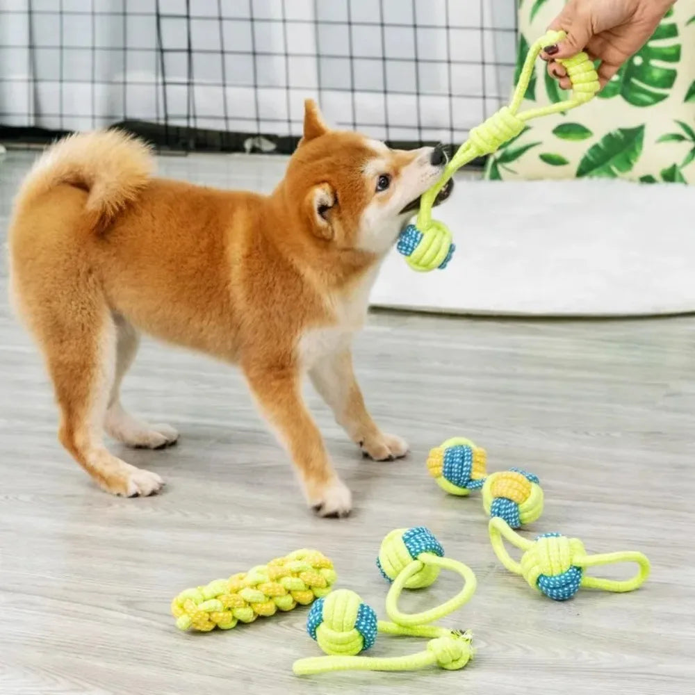 Juguete de Cuerda con Pelota para Perros – Molar y Entrenamiento