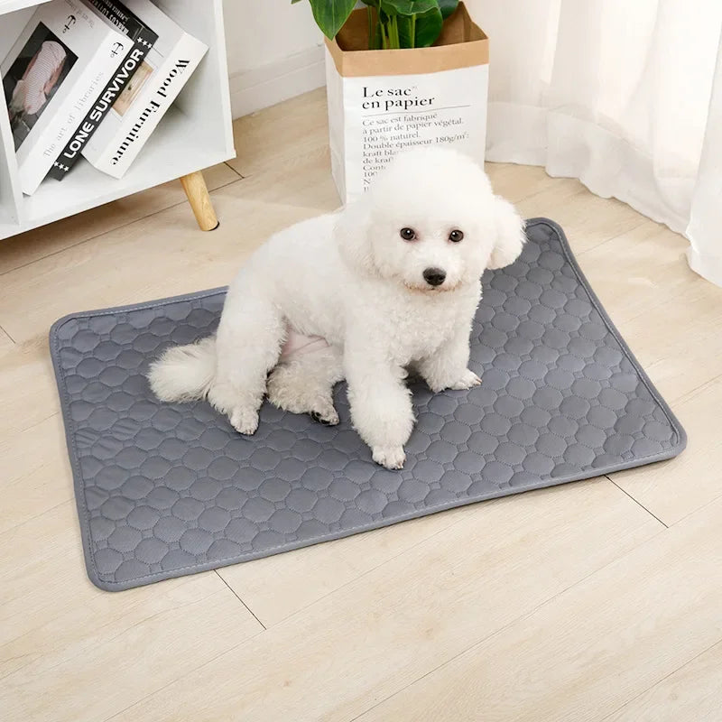 Pañal Reutilizable Absorbente para Perros | Manta Lavable de Entrenamiento, Cama y Protector de Asiento para Mascotas