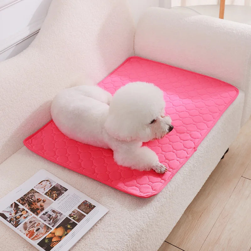 Pañal Reutilizable Absorbente para Perros | Manta Lavable de Entrenamiento, Cama y Protector de Asiento para Mascotas