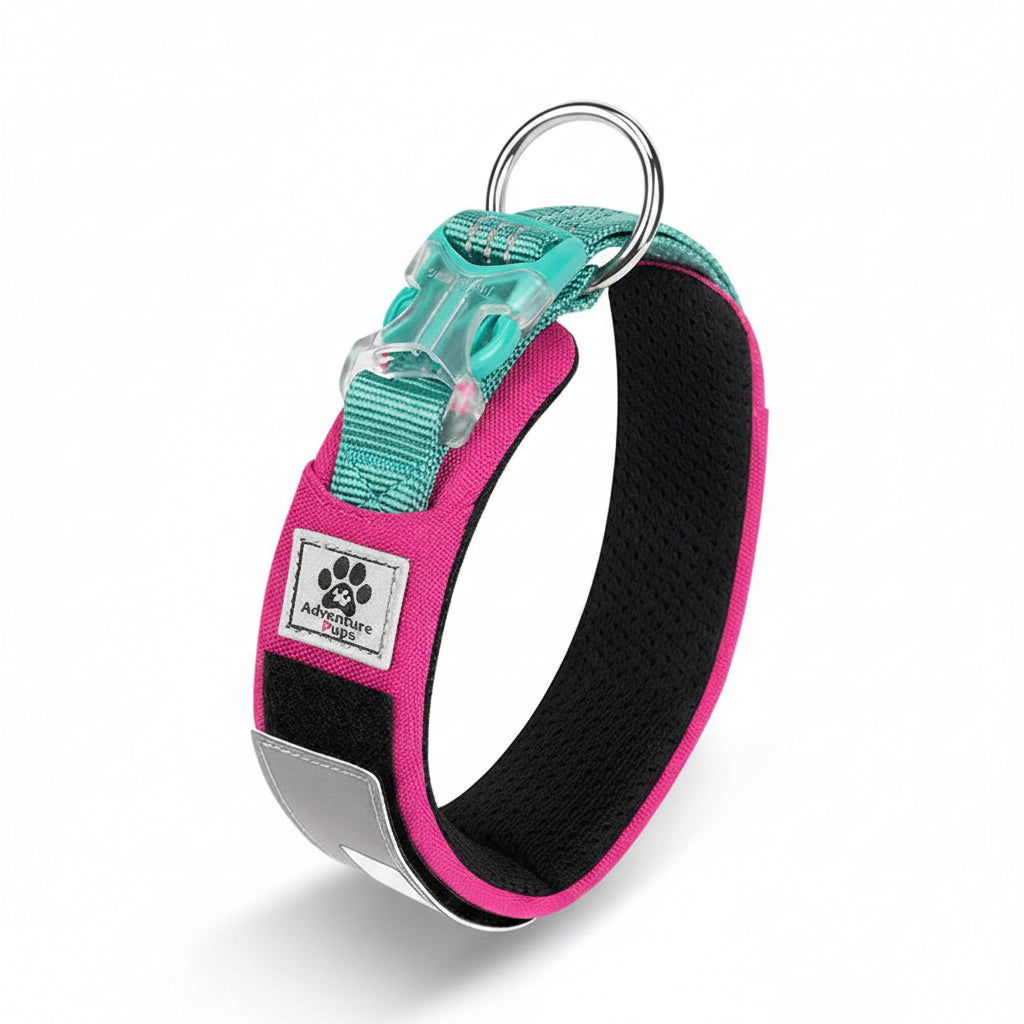 Collar para Perros Reflectante Multifuncional Personalizable