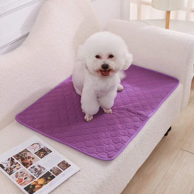 Pañal Reutilizable Absorbente para Perros | Manta Lavable de Entrenamiento, Cama y Protector de Asiento para Mascotas